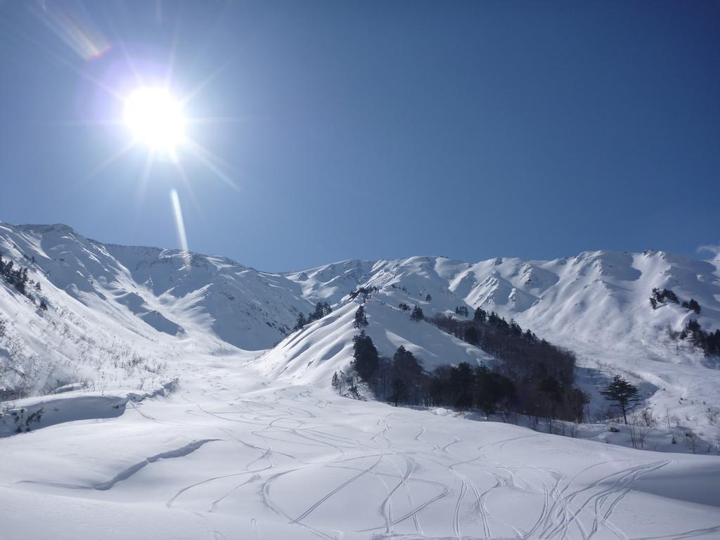 Zen Chalets Hakuba Bagian luar foto
